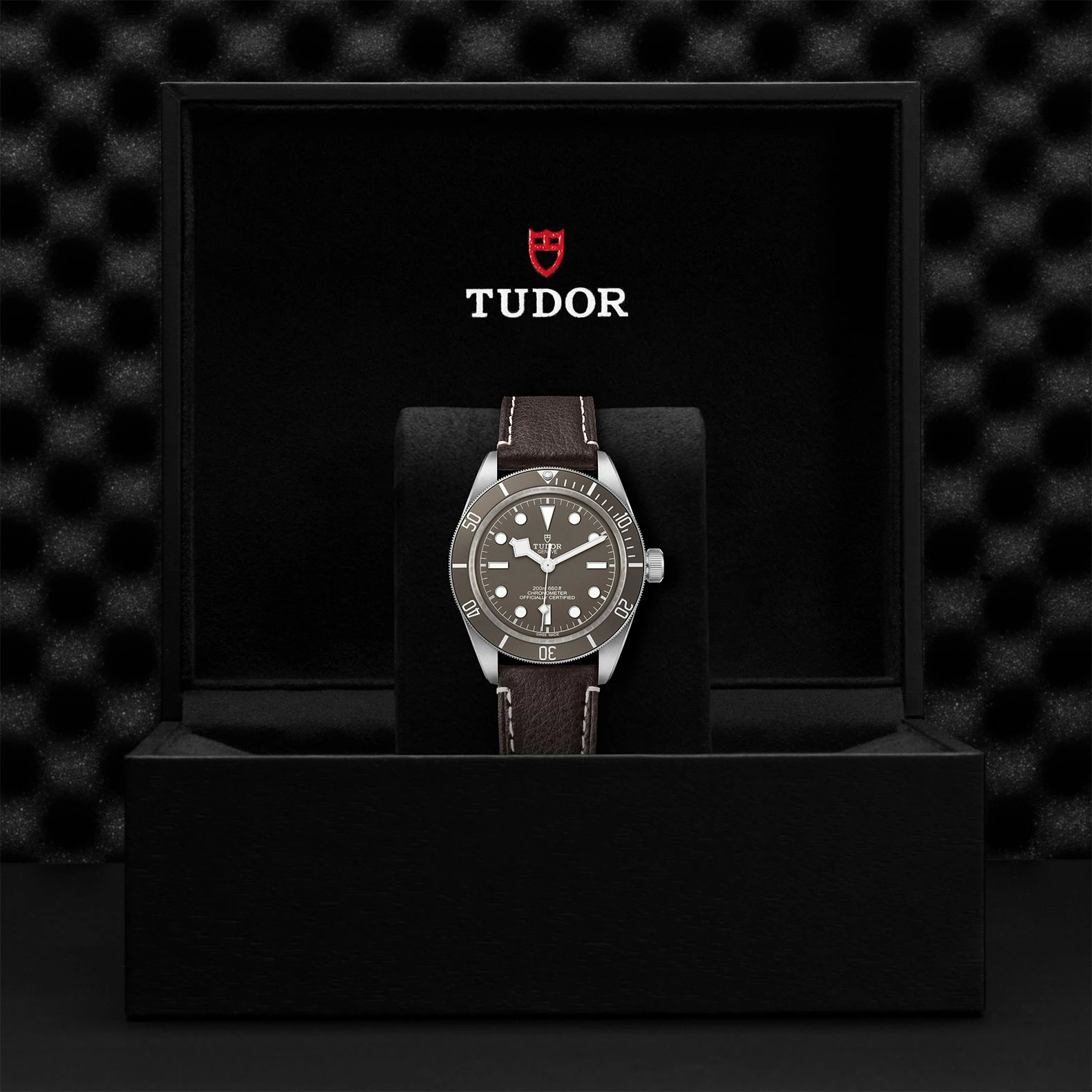 Montre TUDOR Black Bay Fifty-Eight boîtier en argent 39 mm, bracelet en cuir brun