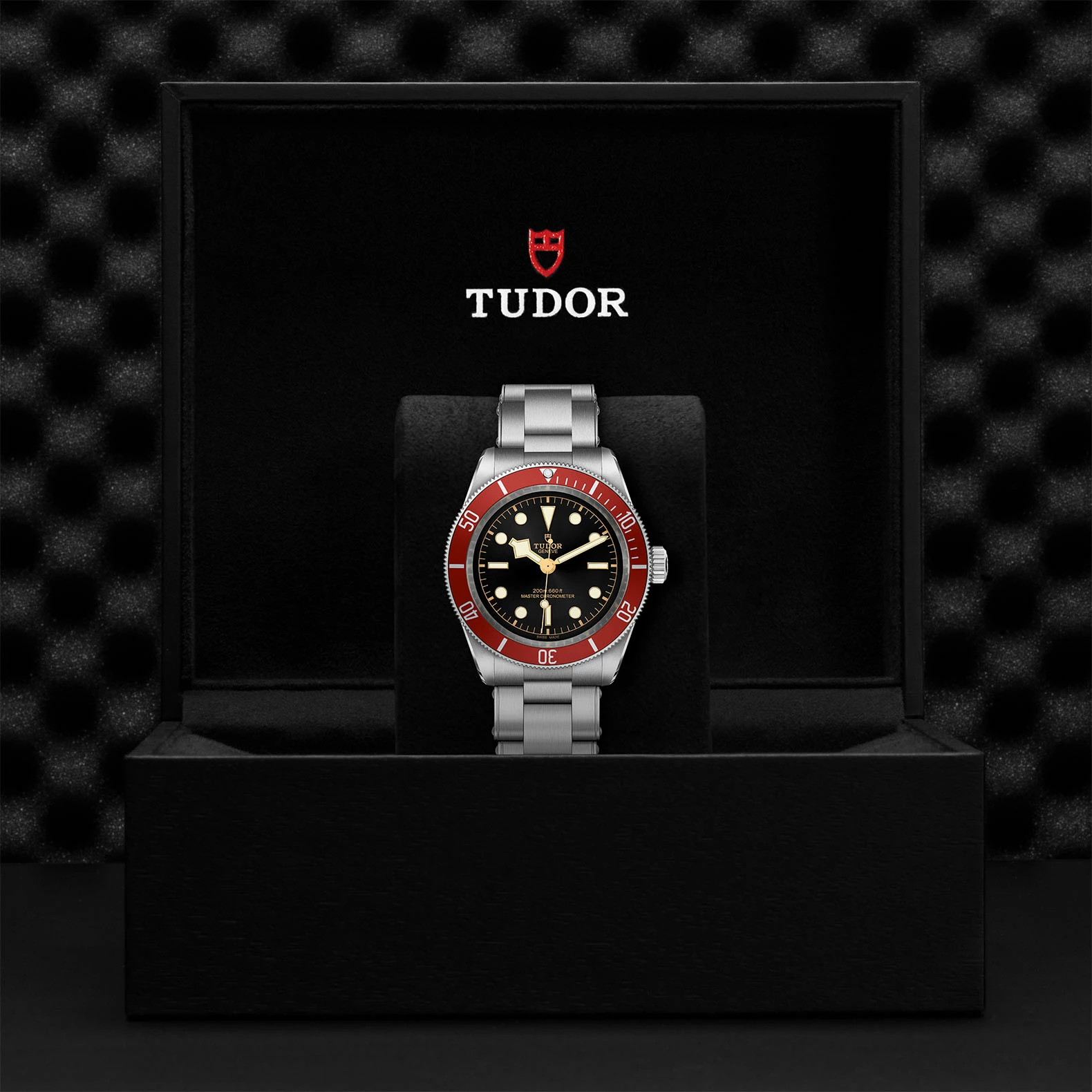 Montre TUDOR Black Bay boîtier en acier, 41 mm, bracelet en acier