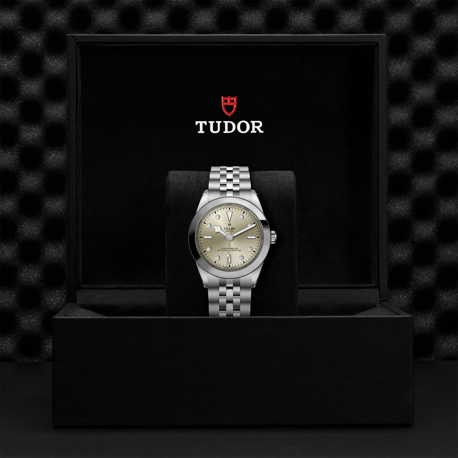 Montre TUDOR Black Bay 39 boîtier en acier, 39 mm, bracelet en acier