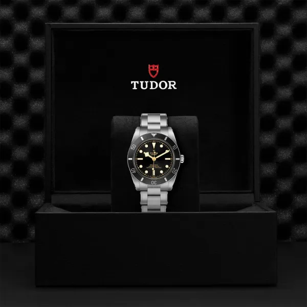 Montre TUDOR Black Bay 54 boîtier en acier, 37 mm, bracelet en acier