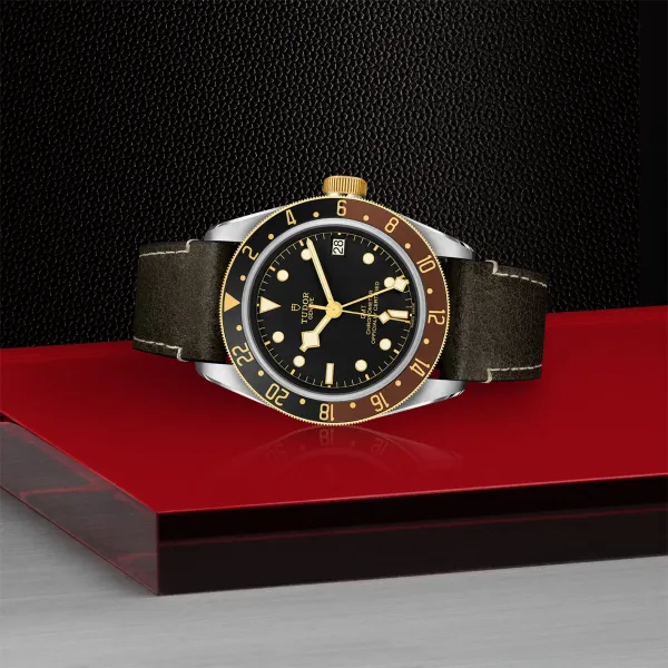 Montre TUDOR Black Bay GMT S&G boîtier en acier 41 mm, bracelet en cuir brun